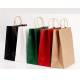  PAPER SHOPPING BAGS