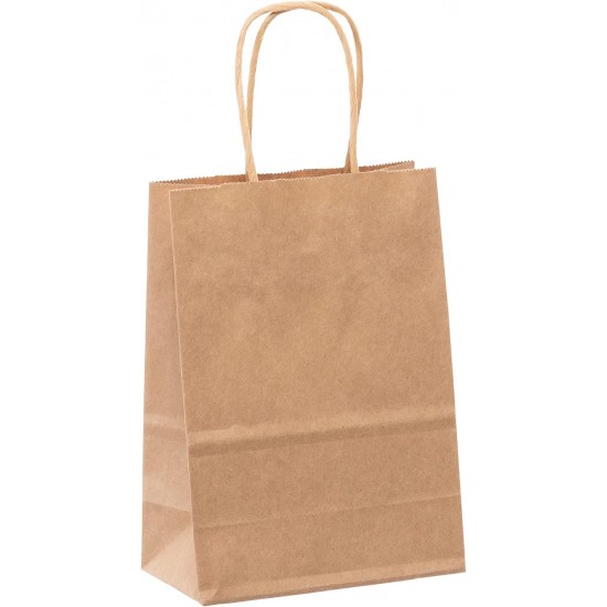  PAPER SHOPPING BAGS