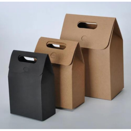  MULTIFUNCTIONAL CARRIER PAPER BAG