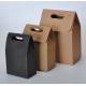  MULTIFUNCTIONAL CARRIER PAPER BAG