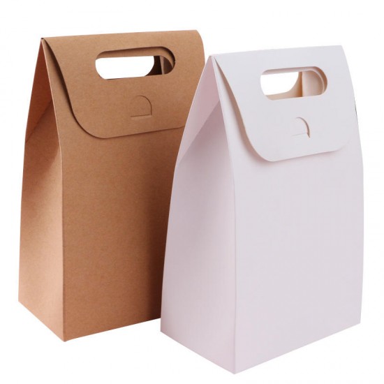  MULTIFUNCTIONAL CARRIER PAPER BAG