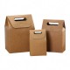  MULTIFUNCTIONAL CARRIER PAPER BAG